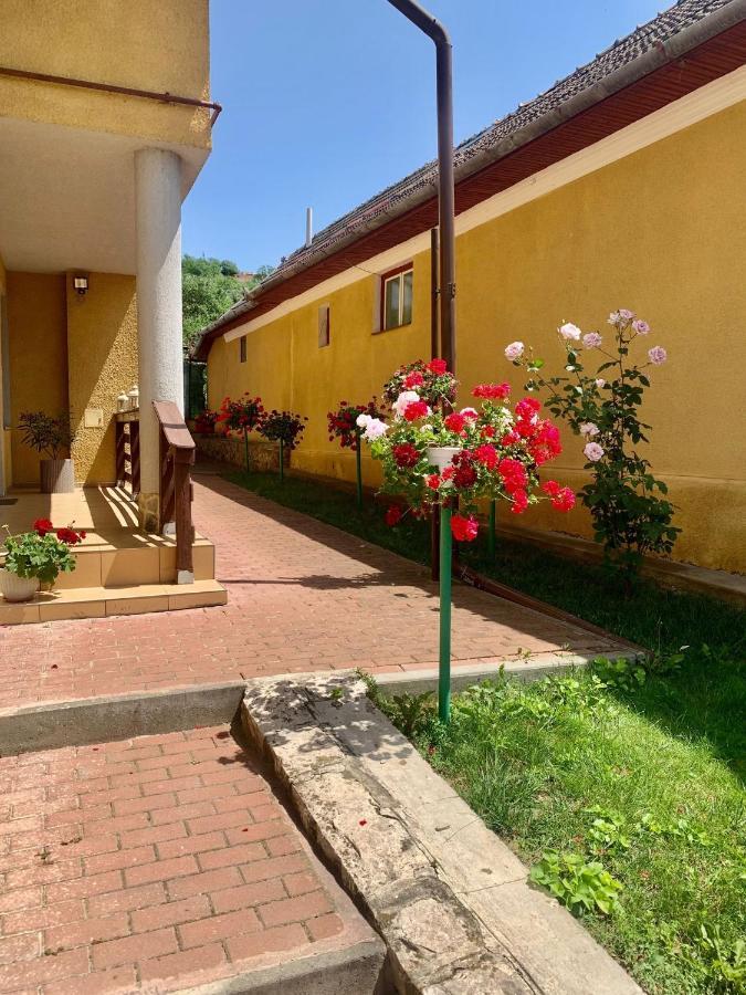 Апартаменти Casa Ramona Турда Екстер'єр фото